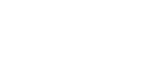 Data To Video